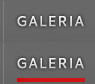 Galeria Galeria
